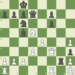 2k5/pppq1p2/2n2p2/2bN4/4P2P/3P1Q1p/PPP3rP/R4R1K b - - 0 1 2k5/pppq1p2/2n2p2/2bN4/4P2P/3P1Q1p/PPP3rP/R4R1K b - - 0 1