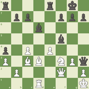 r3r1k1/1pp2ppp/3b4/5b2/p1P1P3/P1BB1NPq/1P3Q1P/3R3K b - - 0 26