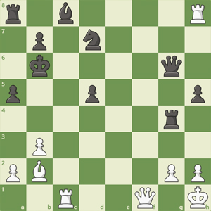 r1b4R/1p1n4/1k4q1/p2p3p/6r1/1P6/PB4PP/2R2QK1 w - - 0 1